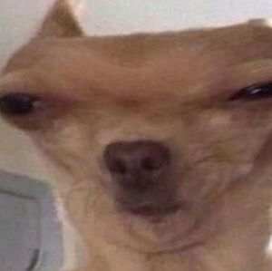 Meet your Posher, Kamden